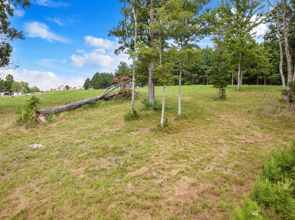 Bobcat Trail Jasper, TN 37347