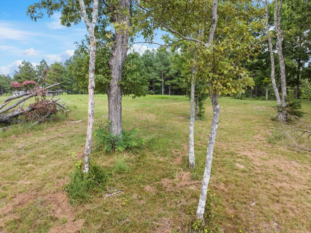 Bobcat Trail Jasper, TN 37347
