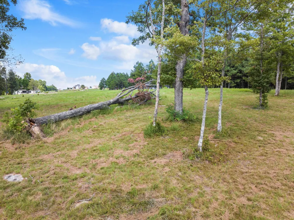 Bobcat Trail Jasper, TN 37347