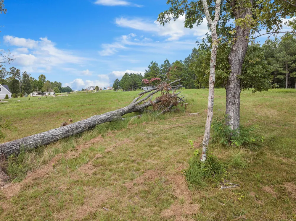 Bobcat Trail Jasper, TN 37347