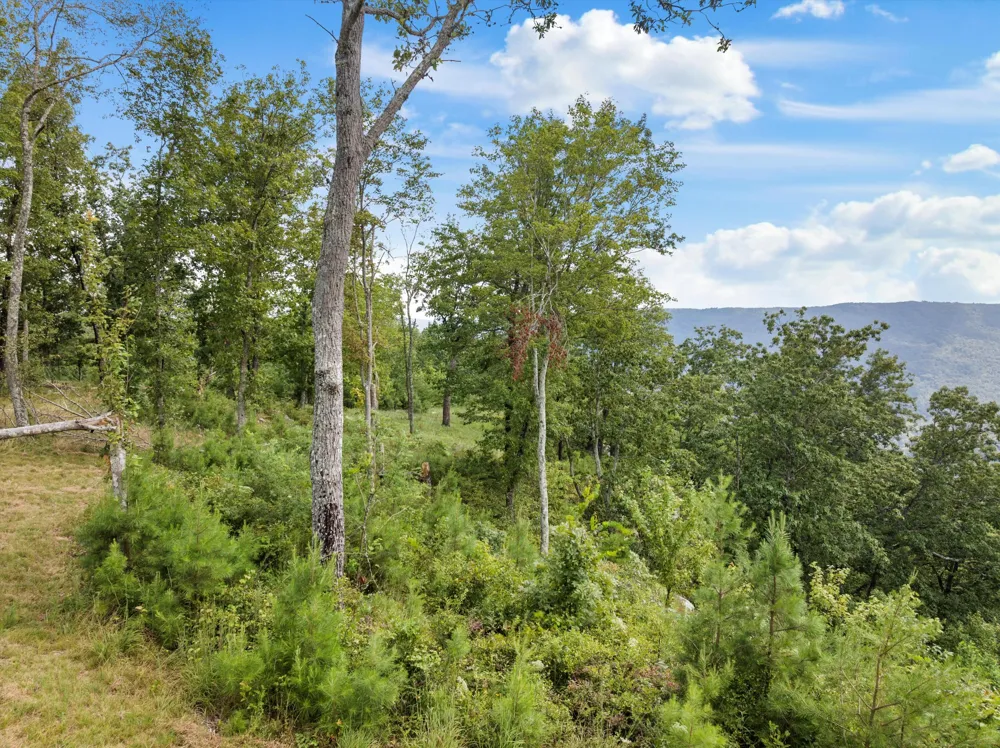 Bobcat Trail Jasper, TN 37347
