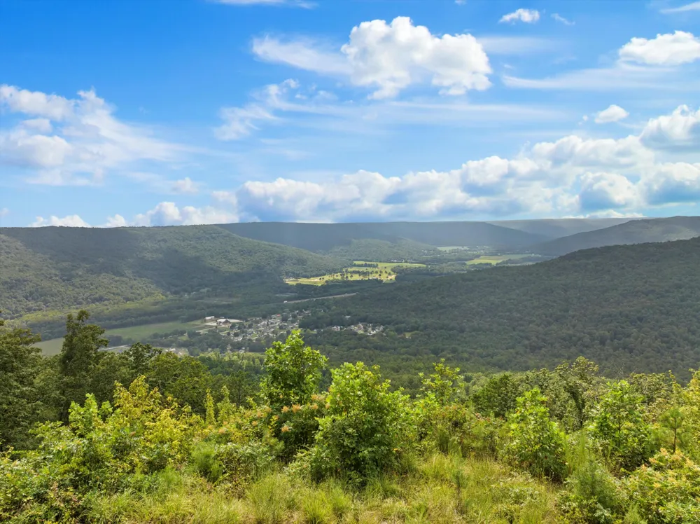 Bobcat Trail Jasper, TN 37347