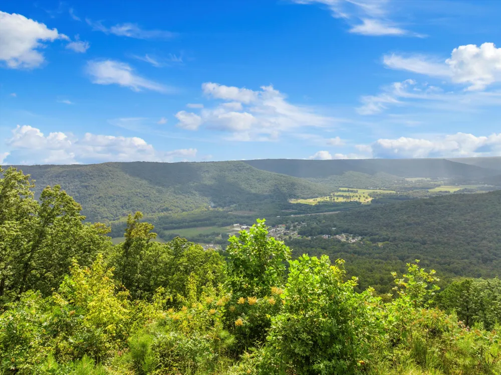 Bobcat Trail Jasper, TN 37347