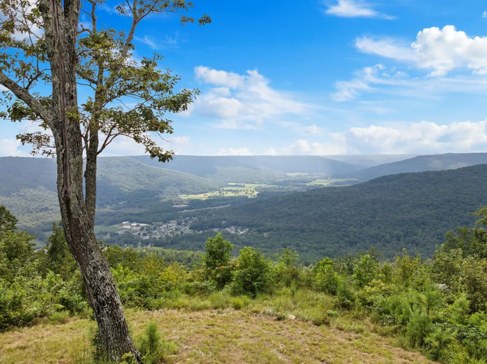 Bobcat Trail Jasper, TN 37347
