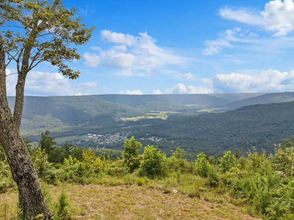 Bobcat Trail Jasper, TN 37347