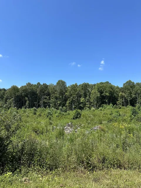 12 Dykes Hollow Road