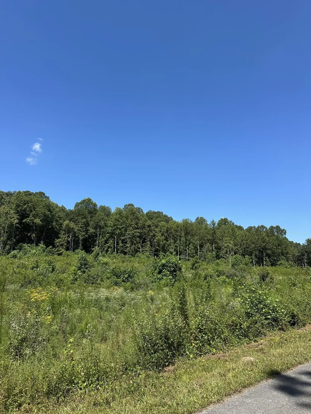 12 Dykes Hollow Road Tracy City, TN 37387