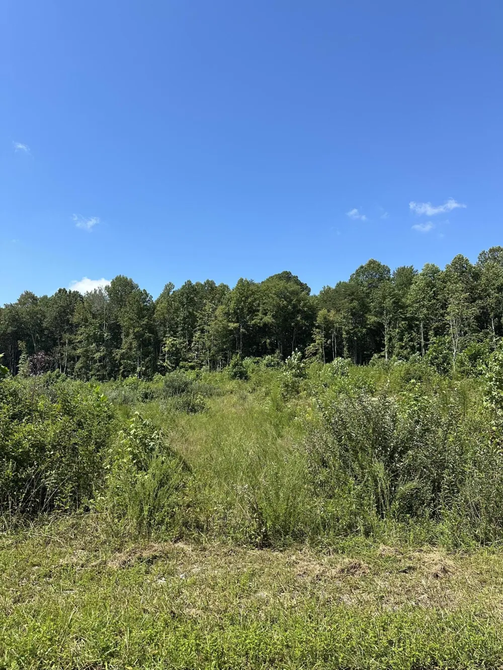 12 Dykes Hollow Road Tracy City, TN 37387