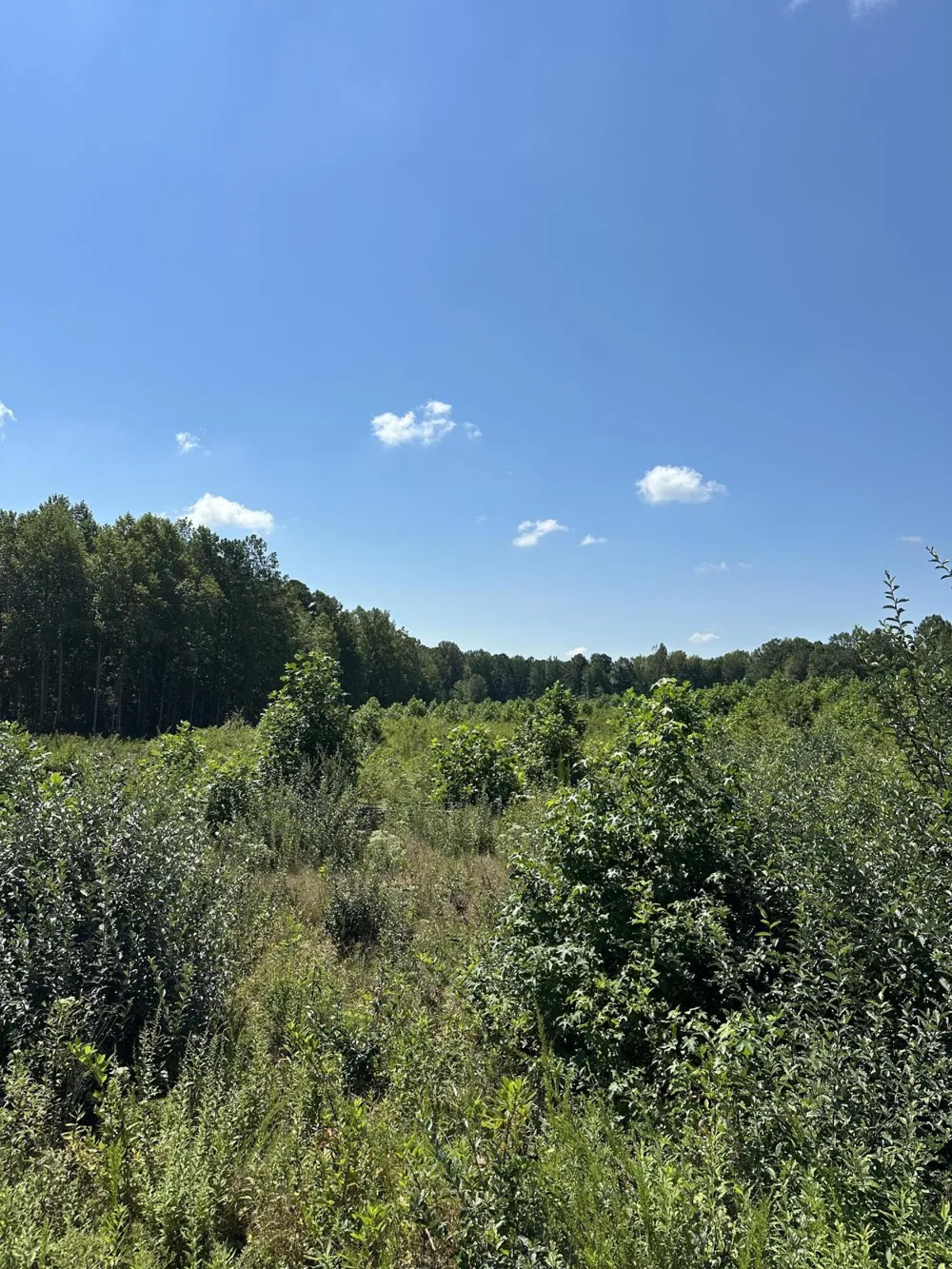 12 Dykes Hollow Road Tracy City, TN 37387