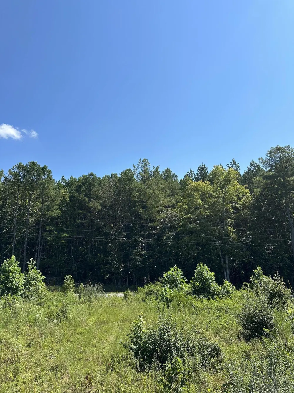 12 Dykes Hollow Road Tracy City, TN 37387