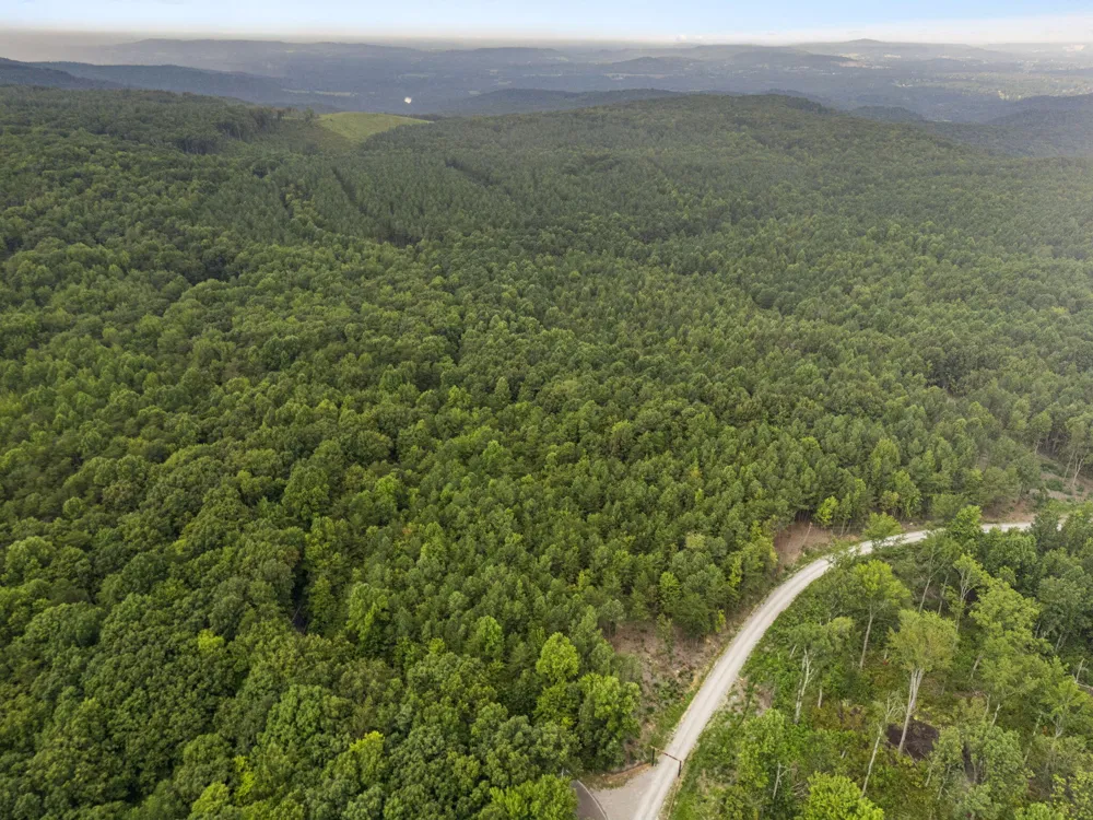 Spokelay Road Spencer, TN 38585