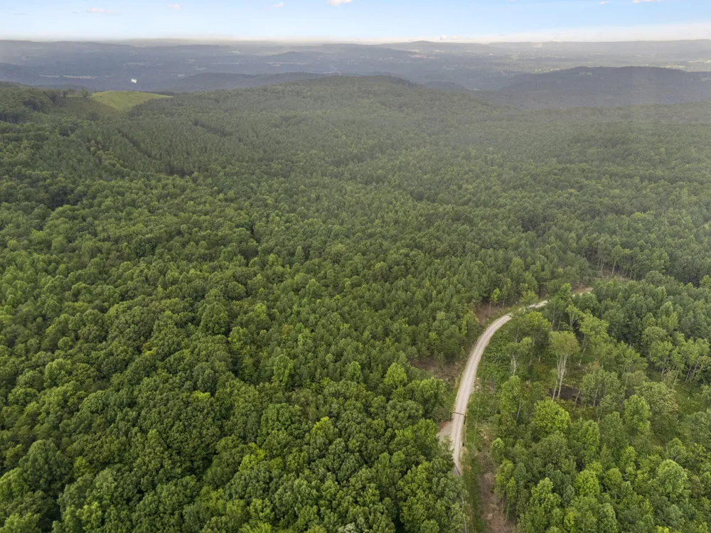 Spokelay Road Spencer, TN 38585