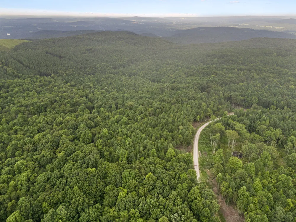 Spokelay Road Spencer, TN 38585