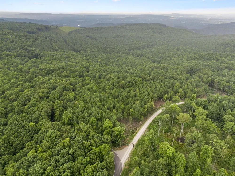 Spokelay Road Spencer, TN 38585