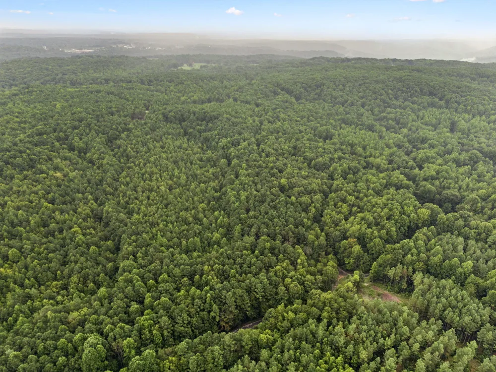 Spokelay Road Spencer, TN 38585