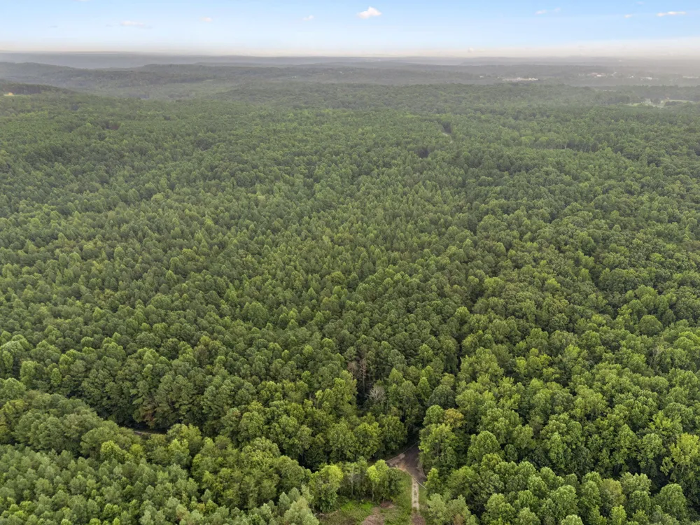Spokelay Road Spencer, TN 38585