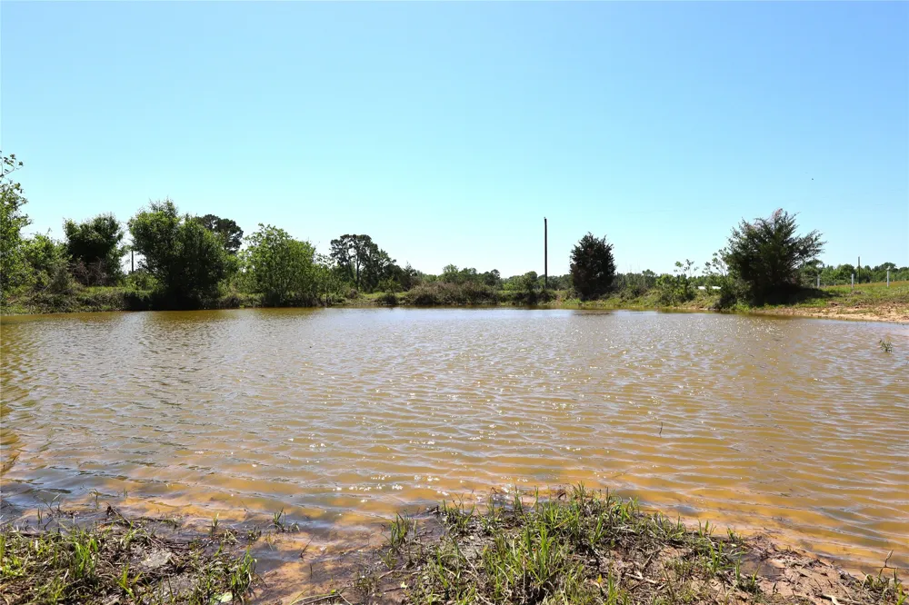 1140 CR-3412 Chandler, TX 75758