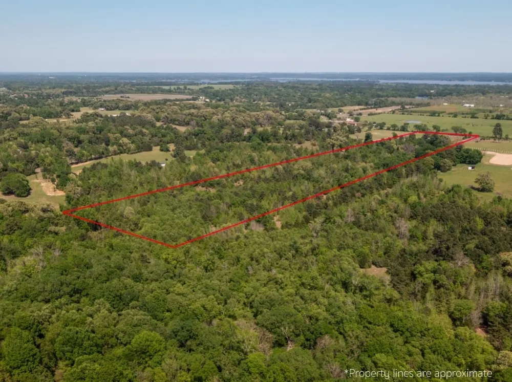 1140 CR-3412 Chandler, TX 75758