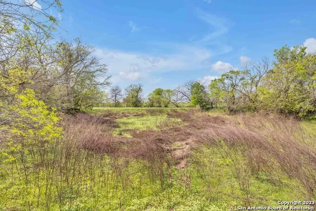 16547 E GABLE RD St Hedwig, TX 78152