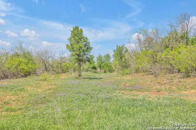 16547 E GABLE RD St Hedwig, TX 78152