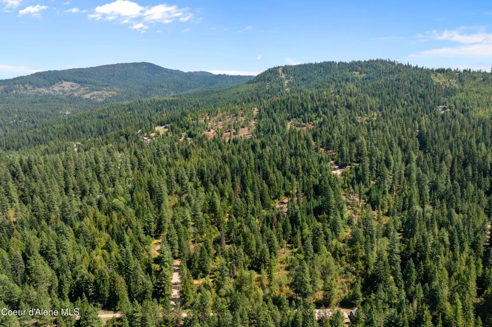 NKA Dunlap Road Harrison, ID 83833