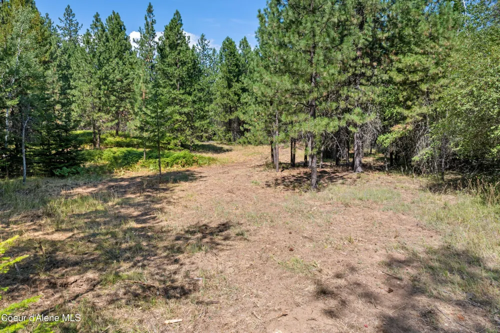 NKA Dunlap Road Harrison, ID 83833