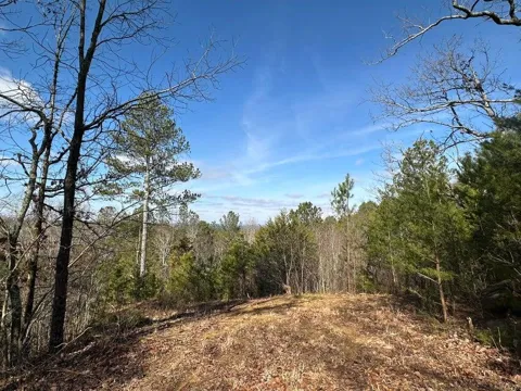 125 Fox Trail Drive