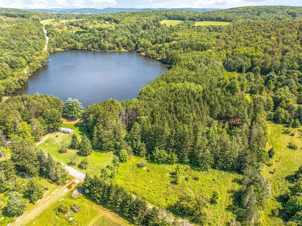 0 Masonville Pond Cummings Road Call Listing Agent, NY 