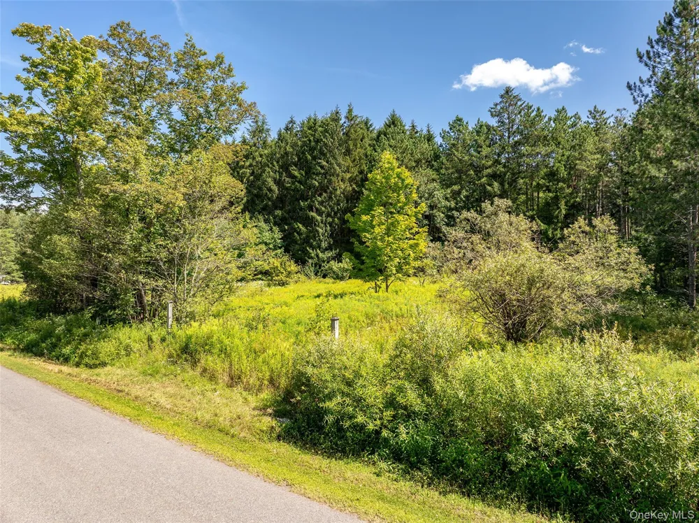 0 Masonville Pond Cummings Road Call Listing Agent, NY 