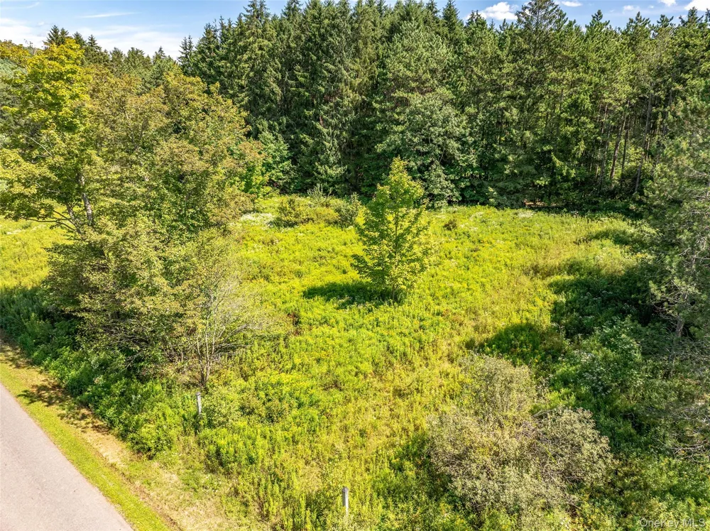 0 Masonville Pond Cummings Road Call Listing Agent, NY 