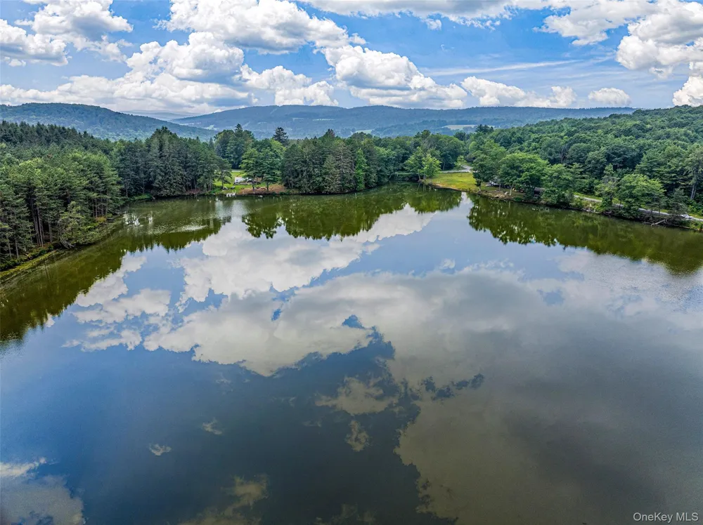 0 Masonville Pond Cummings Road Call Listing Agent, NY 