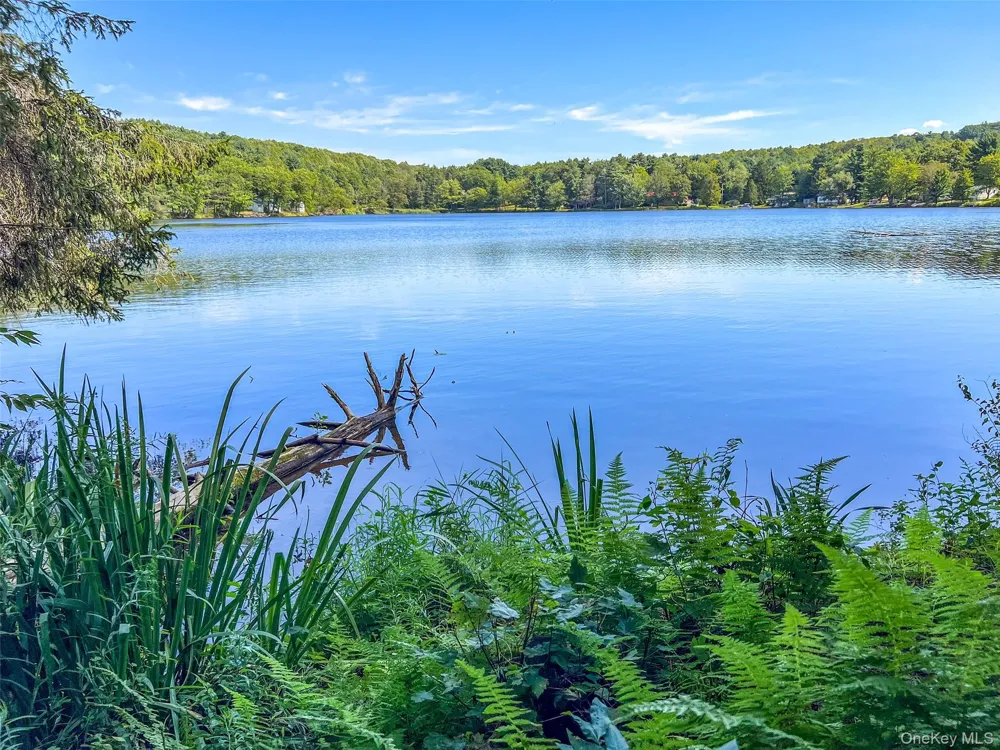 0 Masonville Pond Cummings Road Call Listing Agent, NY 