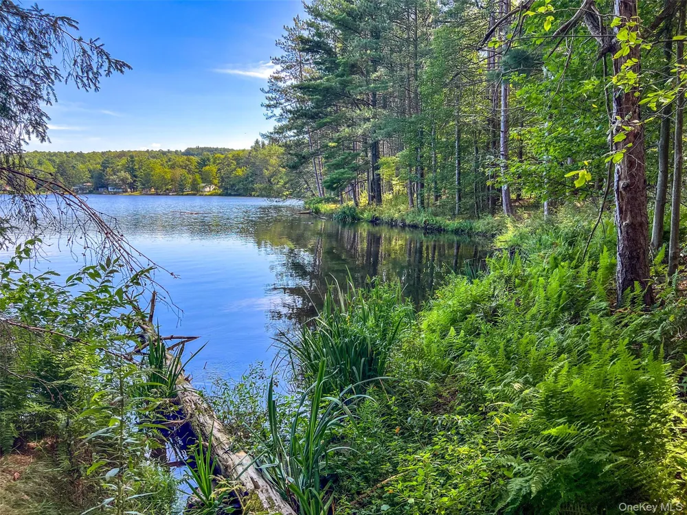 0 Masonville Pond Cummings Road Call Listing Agent, NY 