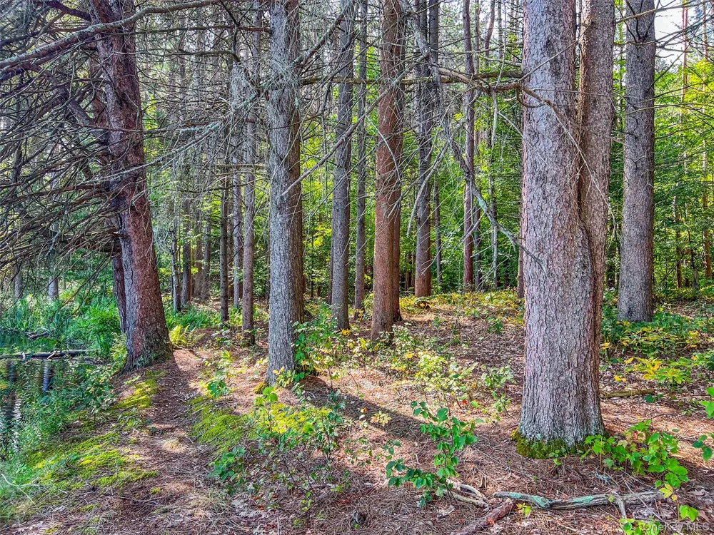 0 Masonville Pond Cummings Road Call Listing Agent, NY 
