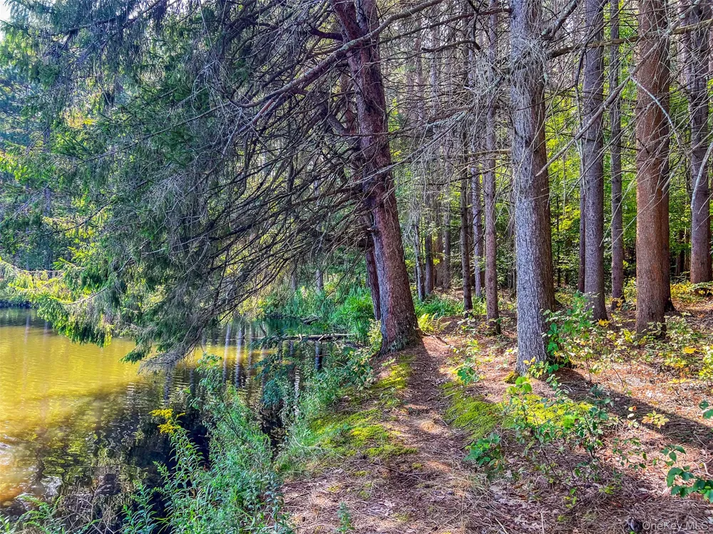 0 Masonville Pond Cummings Road Call Listing Agent, NY 