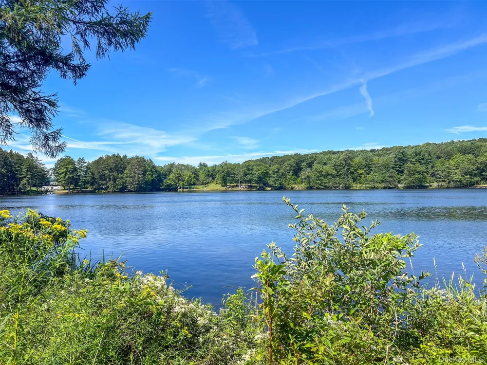 0 Masonville Pond Cummings Road Call Listing Agent, NY 