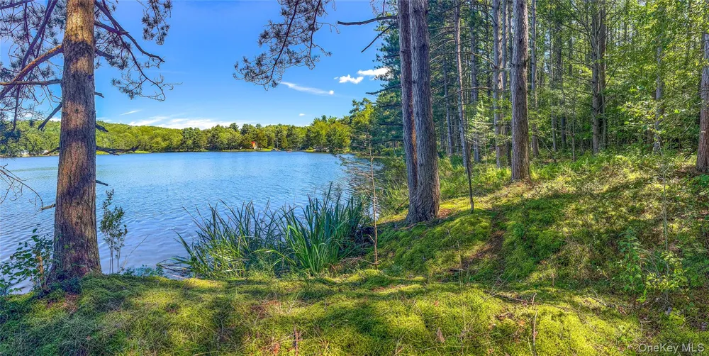 0 Masonville Pond Cummings Road Call Listing Agent, NY 