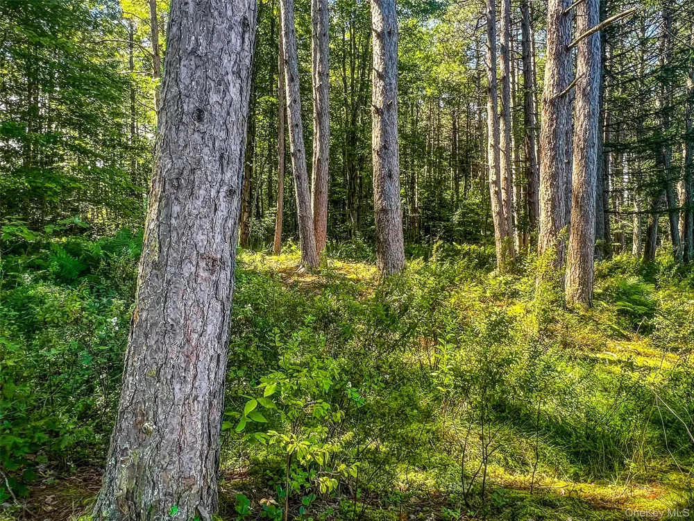 0 Masonville Pond Cummings Road Call Listing Agent, NY 