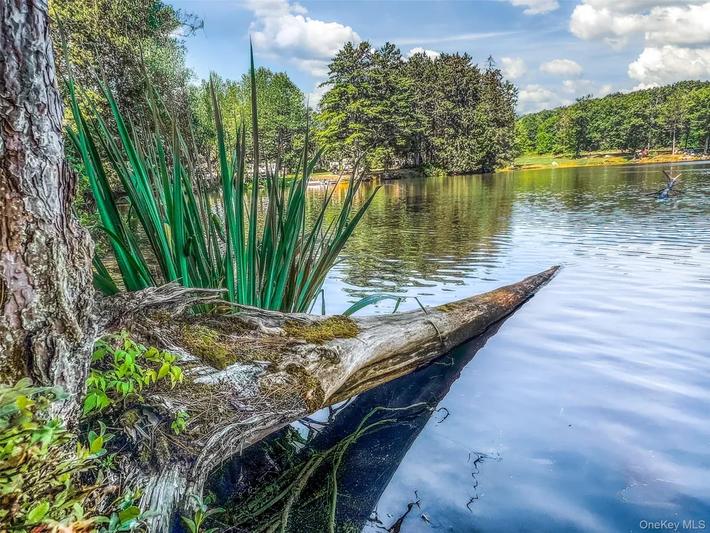 0 Masonville Pond Cummings Road Call Listing Agent, NY 