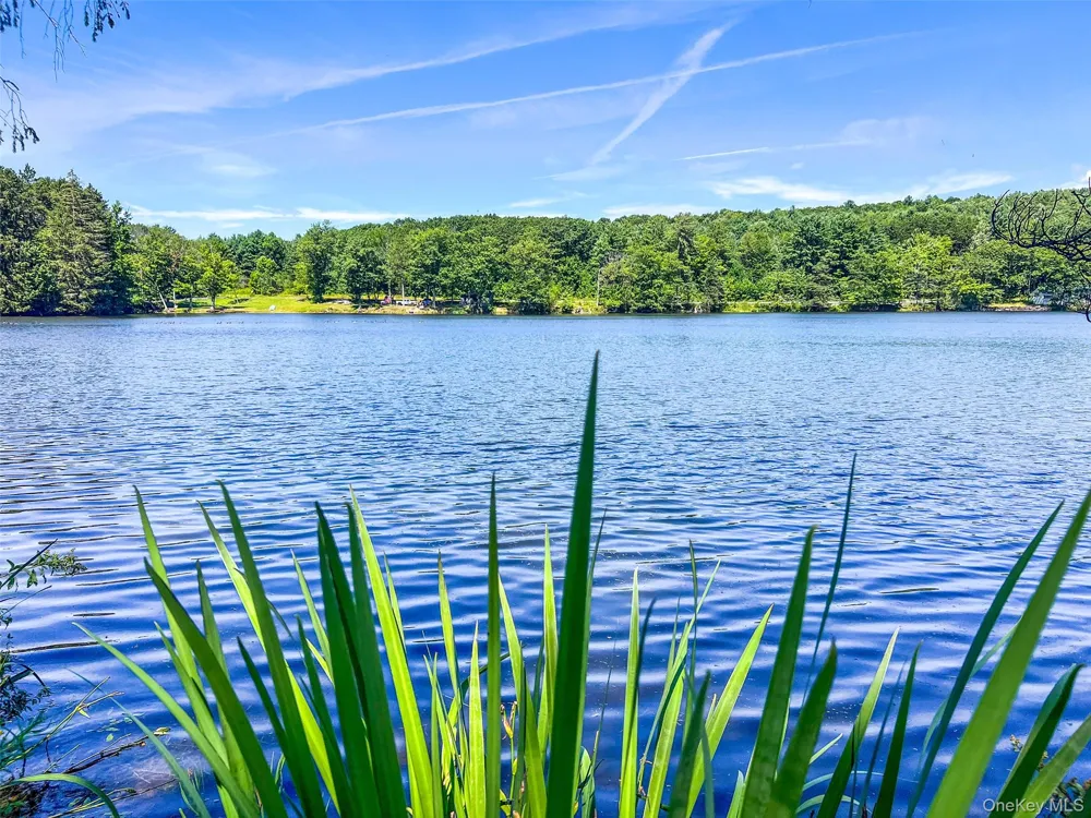 0 Masonville Pond Cummings Road Call Listing Agent, NY 