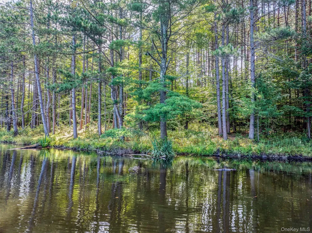 0 Masonville Pond Cummings Road Call Listing Agent, NY 