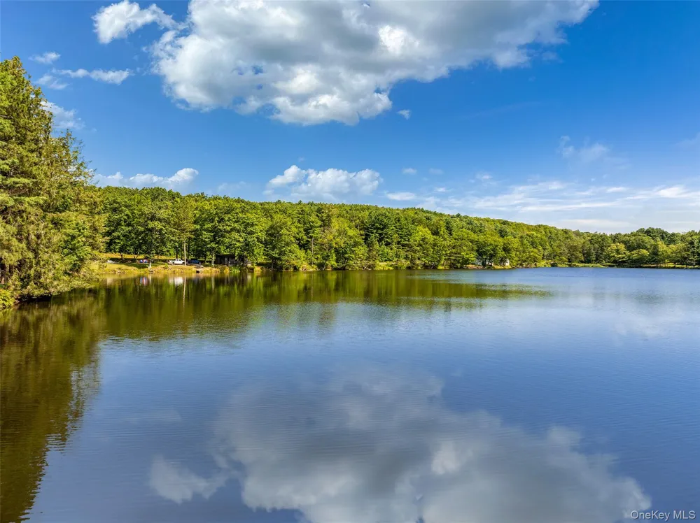 0 Masonville Pond Cummings Road Call Listing Agent, NY 