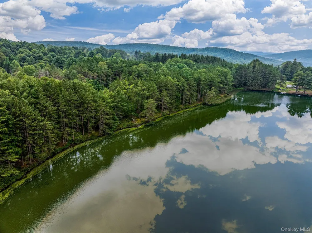 0 Masonville Pond Cummings Road Call Listing Agent, NY 