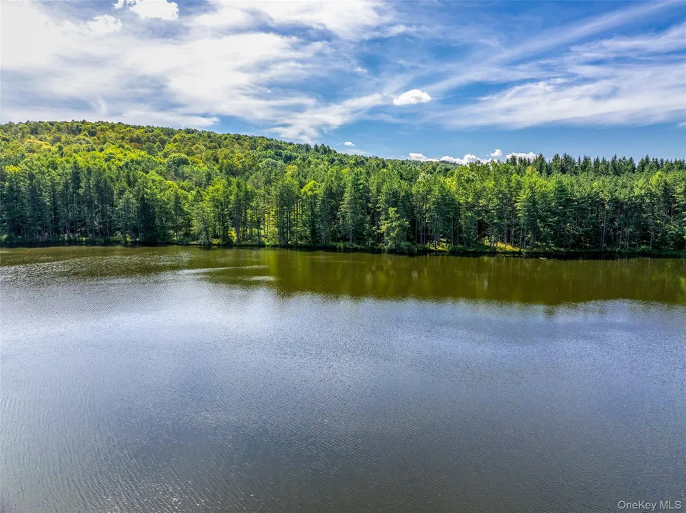 0 Masonville Pond Cummings Road Call Listing Agent, NY 