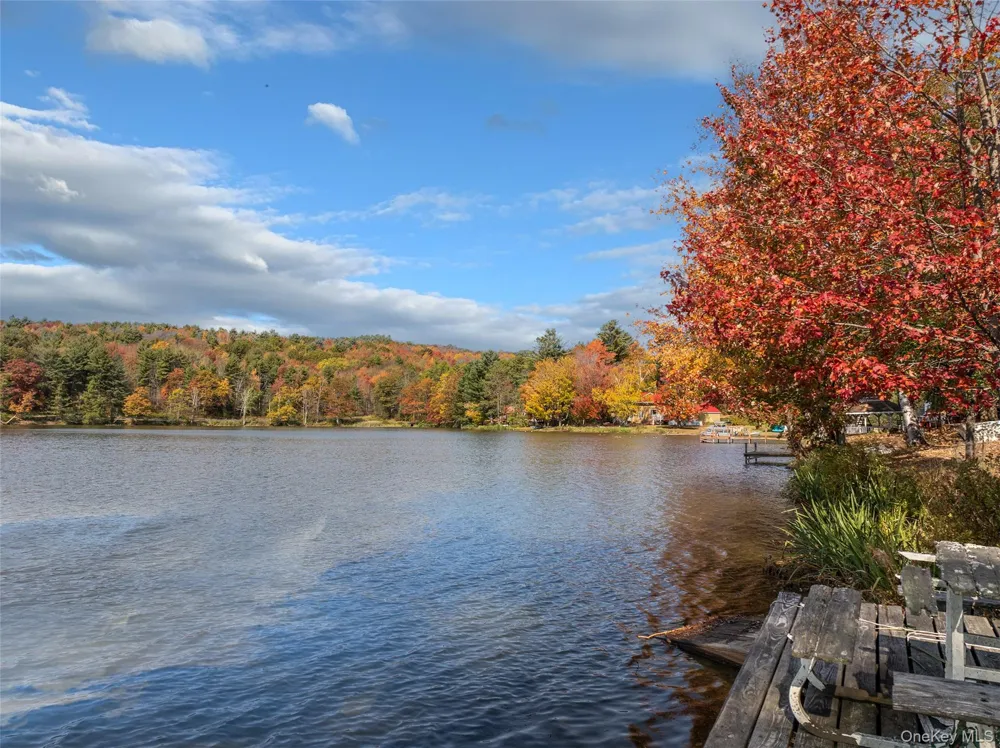0 Masonville Pond Cummings Road Call Listing Agent, NY 