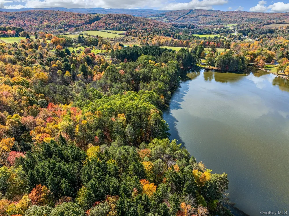 0 Masonville Pond Cummings Road Call Listing Agent, NY 