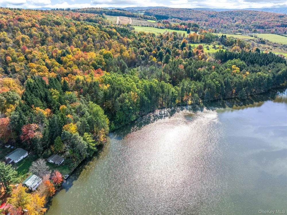 0 Masonville Pond Cummings Road Call Listing Agent, NY 