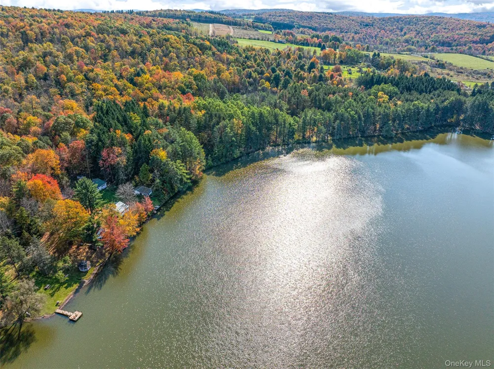 0 Masonville Pond Cummings Road Call Listing Agent, NY 
