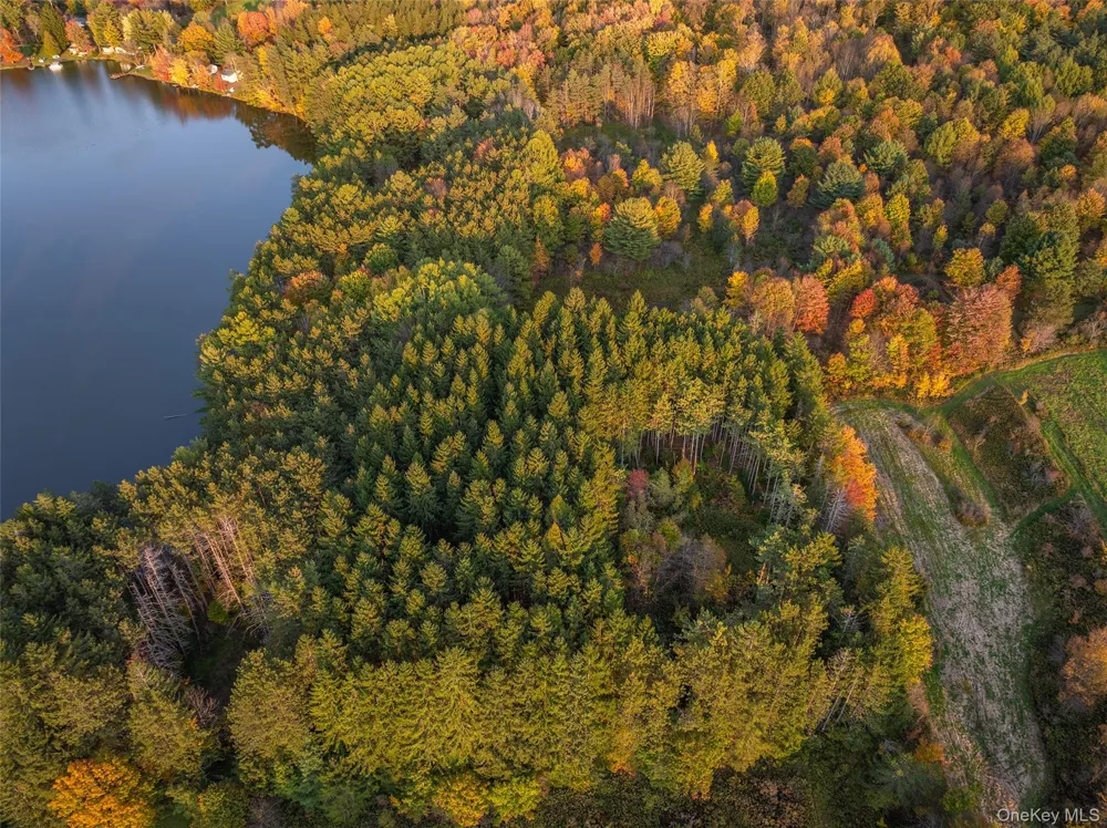 0 Masonville Pond Cummings Road Call Listing Agent, NY 