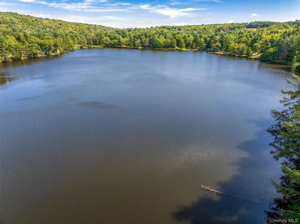 0 Masonville Pond Cummings Road Call Listing Agent, NY 